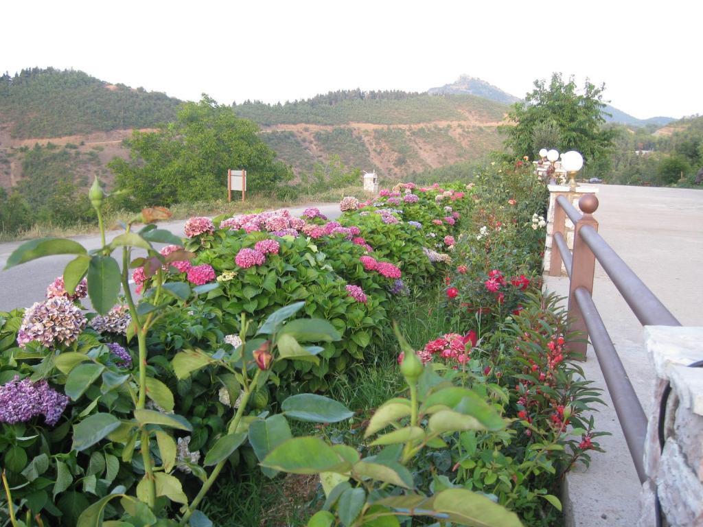 Guesthouse Moúcha Pokoj fotografie